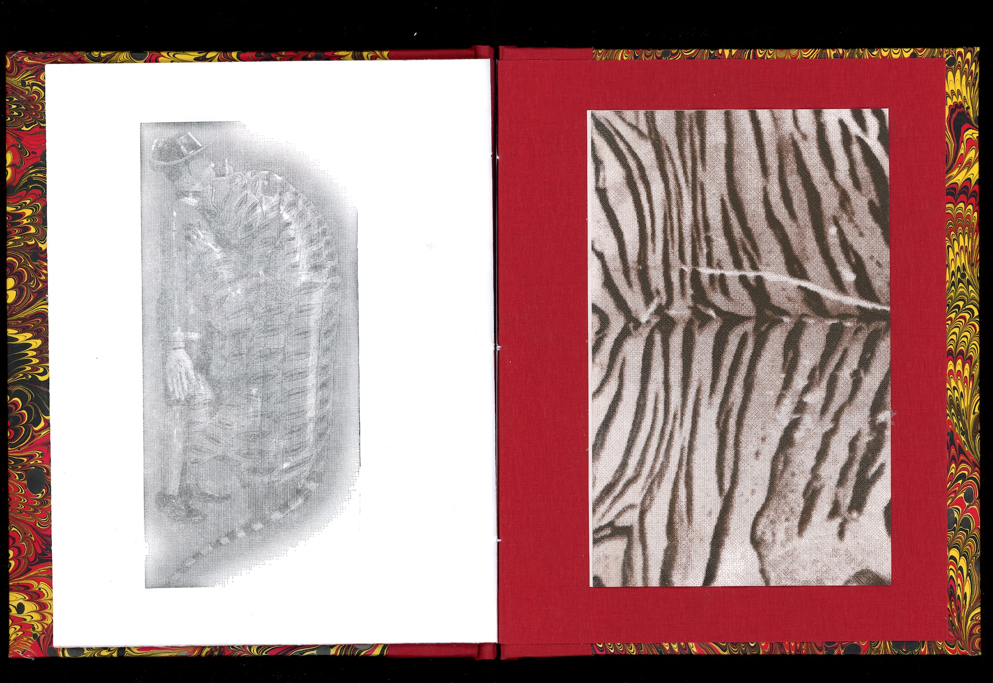 a light photopolymer print of tipus tiger and tiger skin pattern on the right